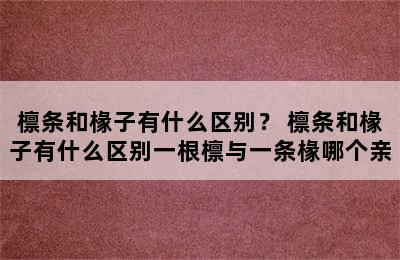 檩条和椽子有什么区别？ 檩条和椽子有什么区别一根檩与一条椽哪个亲